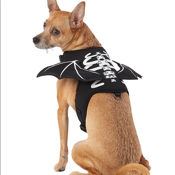 thrill&chills collection Dog Halloween Bat Skull Costume Vest Dog